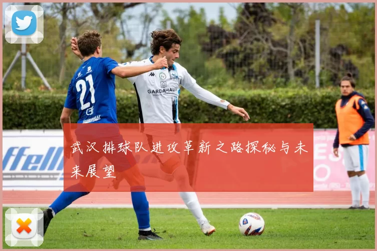 武汉排球队进攻革新之路探秘与未来展望