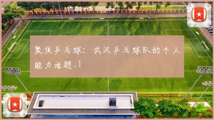 聚焦乒乓球：武汉乒乓球队的个人能力话题_1