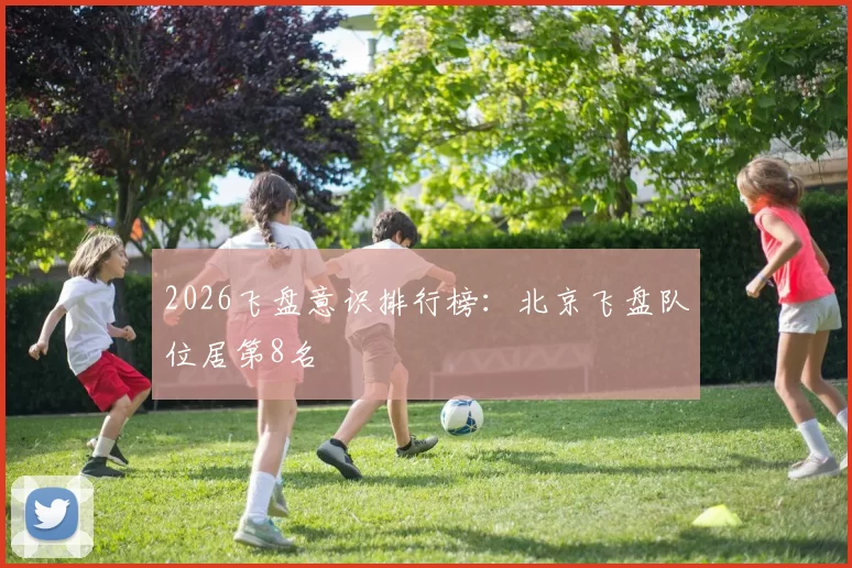 2026飞盘意识排行榜：北京飞盘队位居第8名