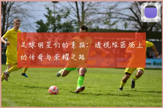 足球明星们的素描：透视绿茵场上的传奇与荣耀之路