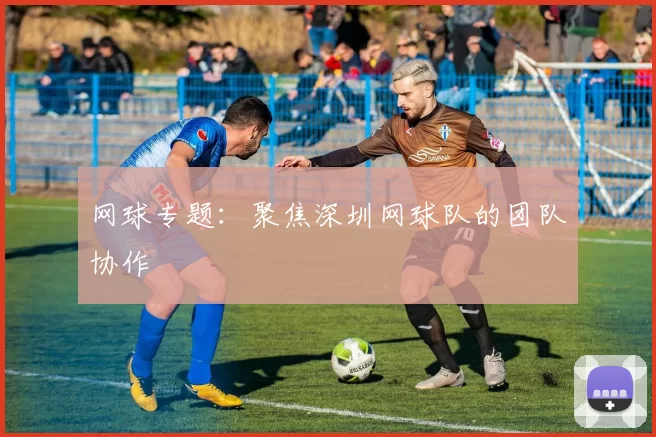 网球专题：聚焦深圳网球队的团队协作